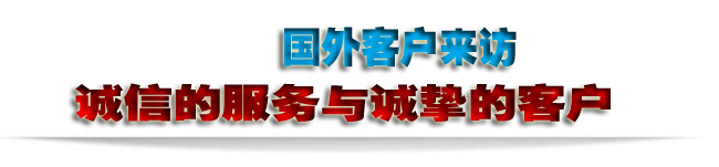 國(guó)外客戶來訪-2。。.jpg