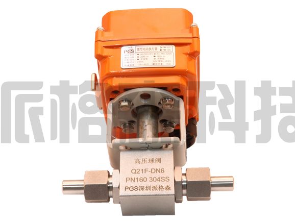 PM-05K-DN6 304不銹鋼 高壓球閥